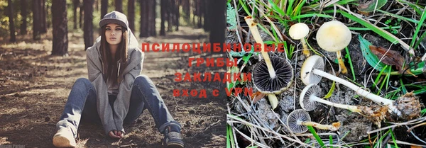 mdma Волоколамск